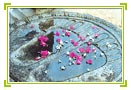 Footsteps of Buddha, India Travel Holidays